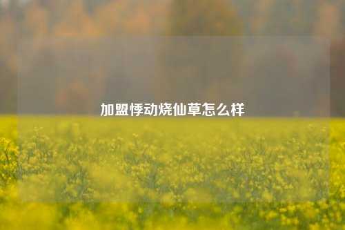 加盟悸动烧仙草怎么样