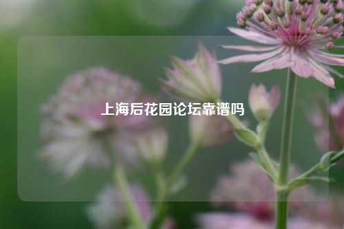 上海后花园论坛靠谱吗